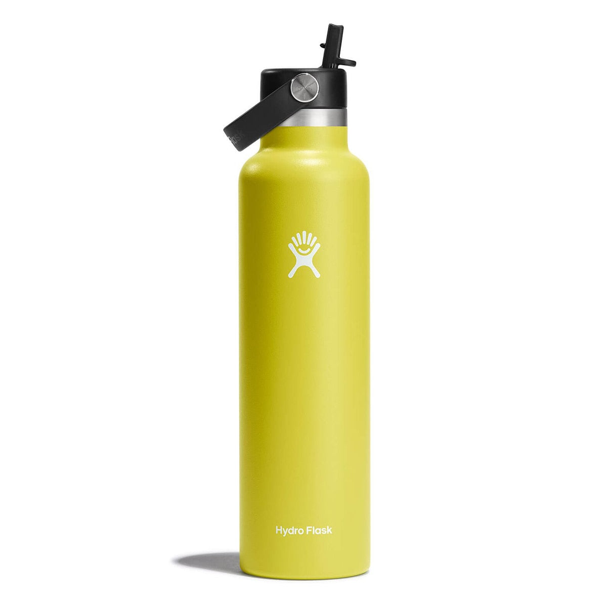 Hydro Flask Standard Flex Straw Cap 24 OZ Cactus – University Co-op