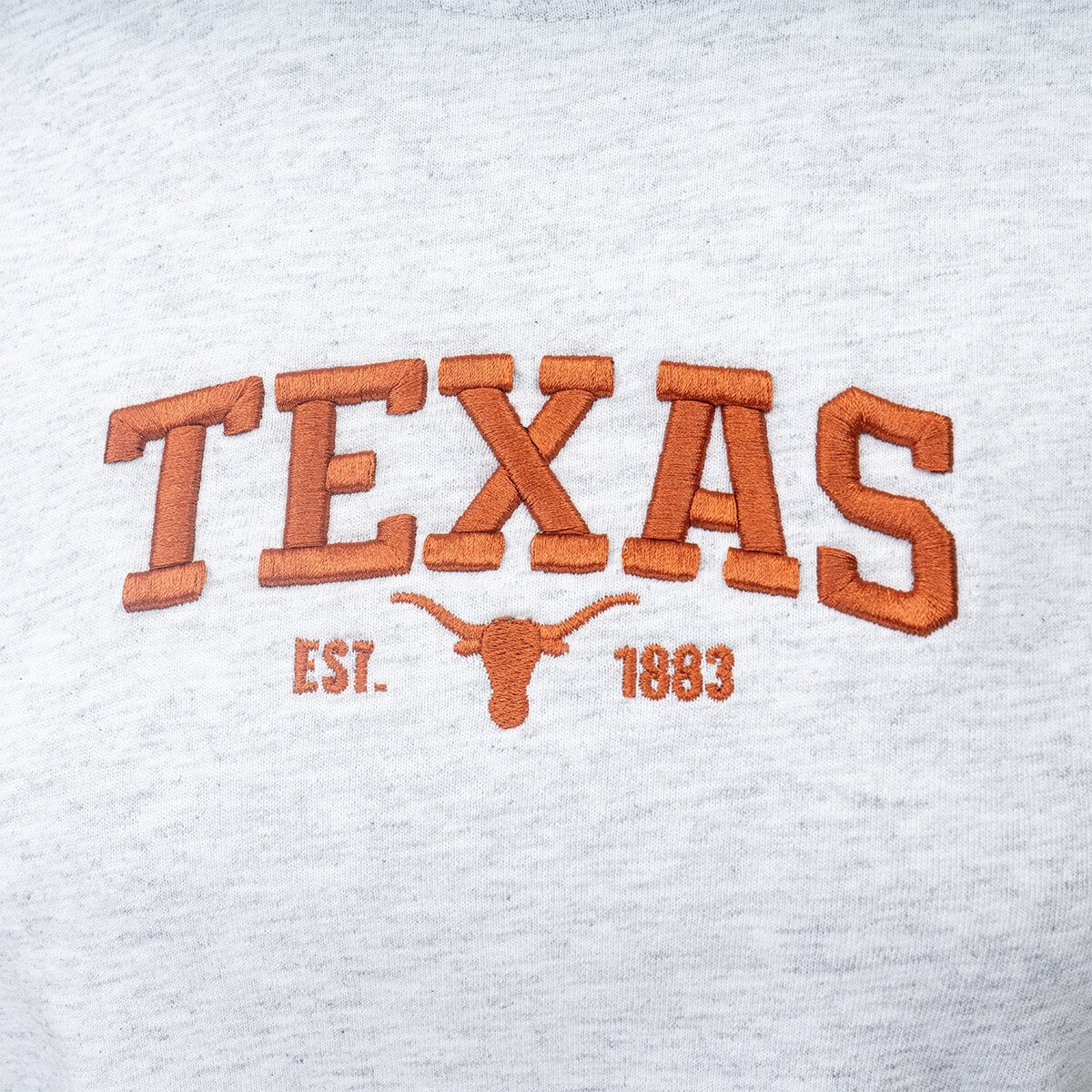 Texas Longhorns Puff Embroidery Graphic Crop Tee
