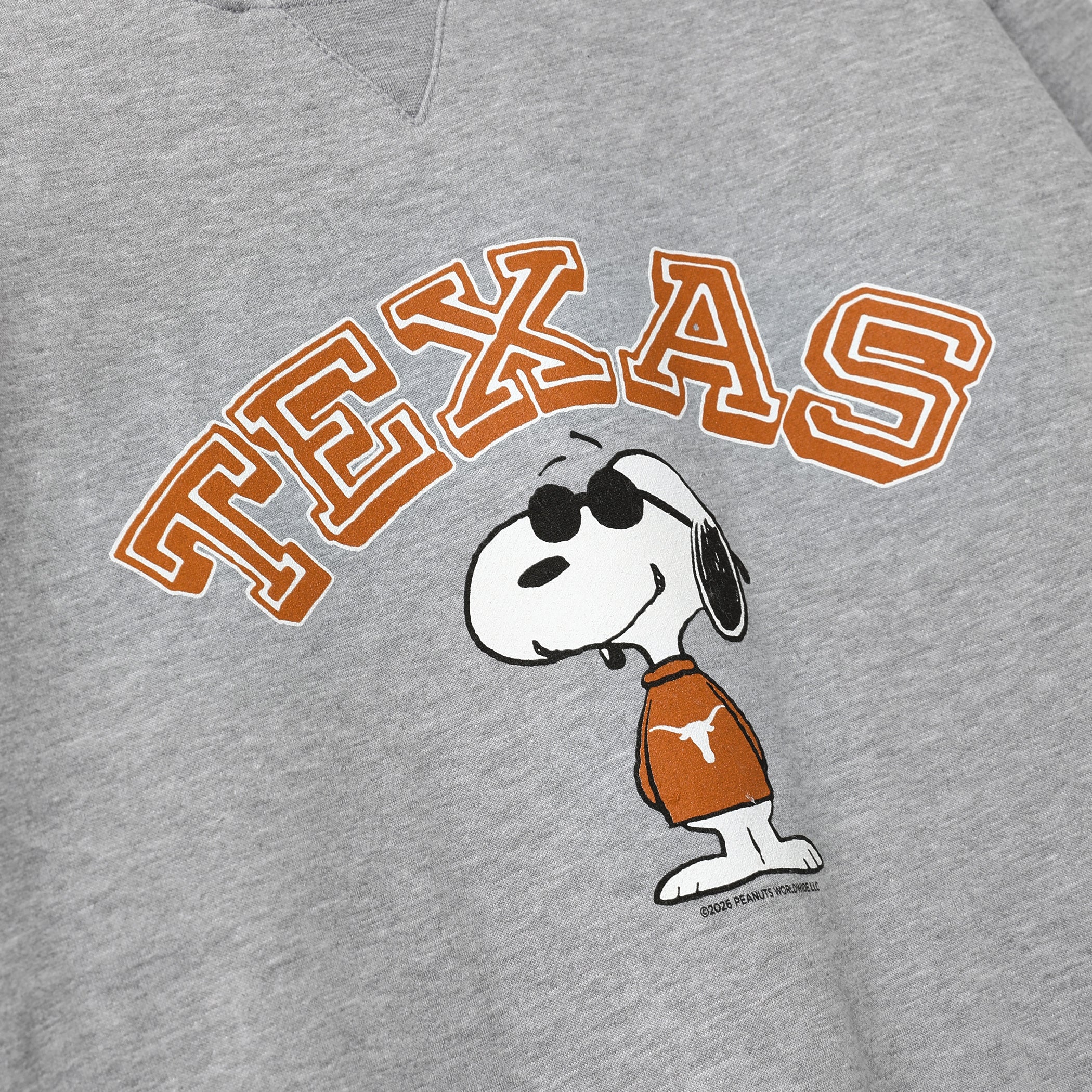 Texas Longhorns Arch over Joe Cool Fleece Crew