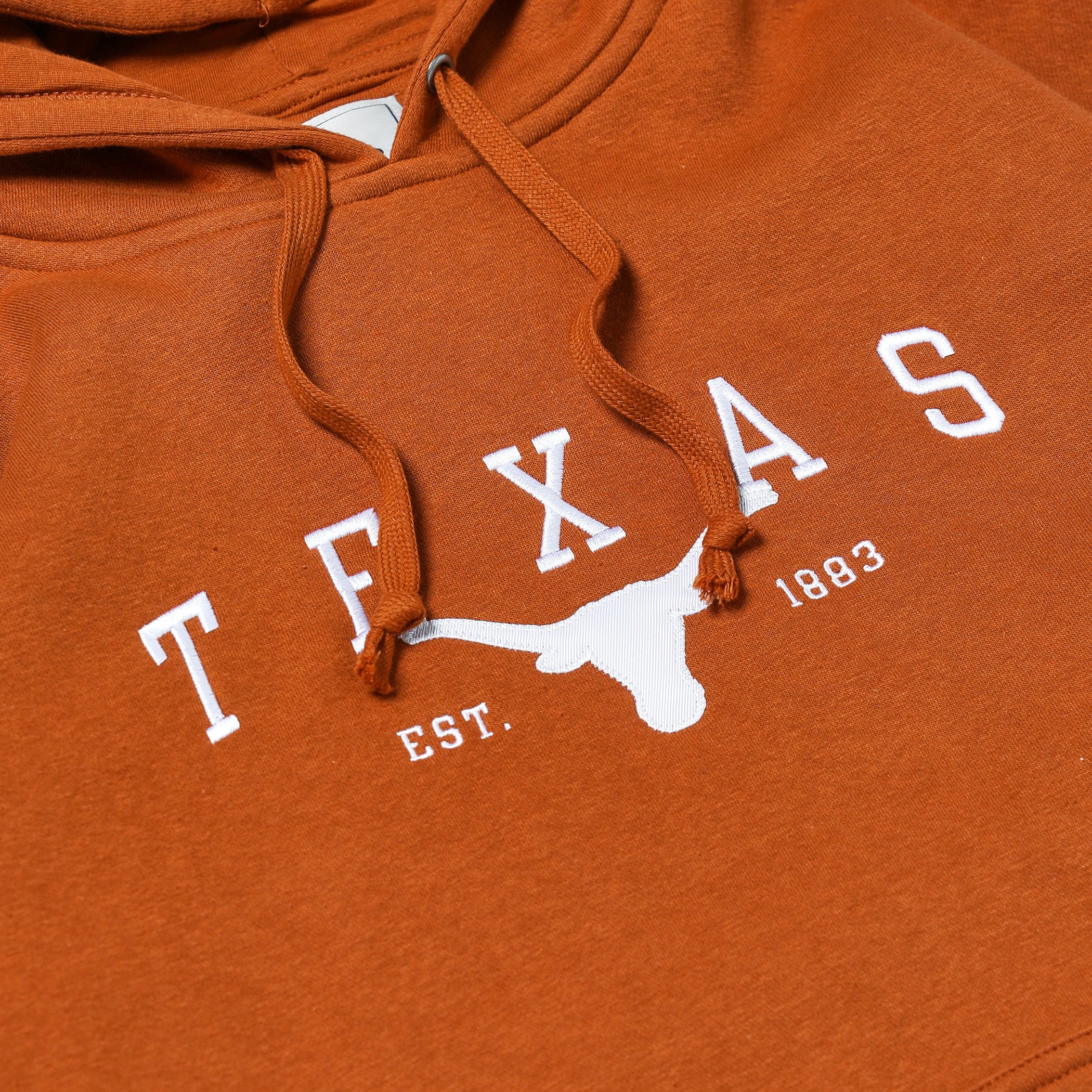 Gear Texas Longhorns Arch over 1883 Bevo Fleece Hoodie