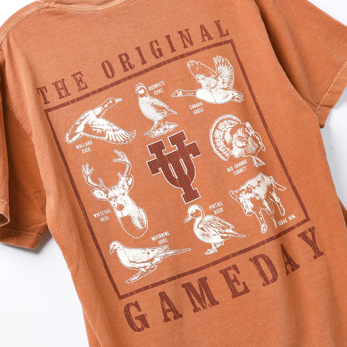 Texas Longhorns Comfort Colors Original Gameday Animals Short Sleeve Tee