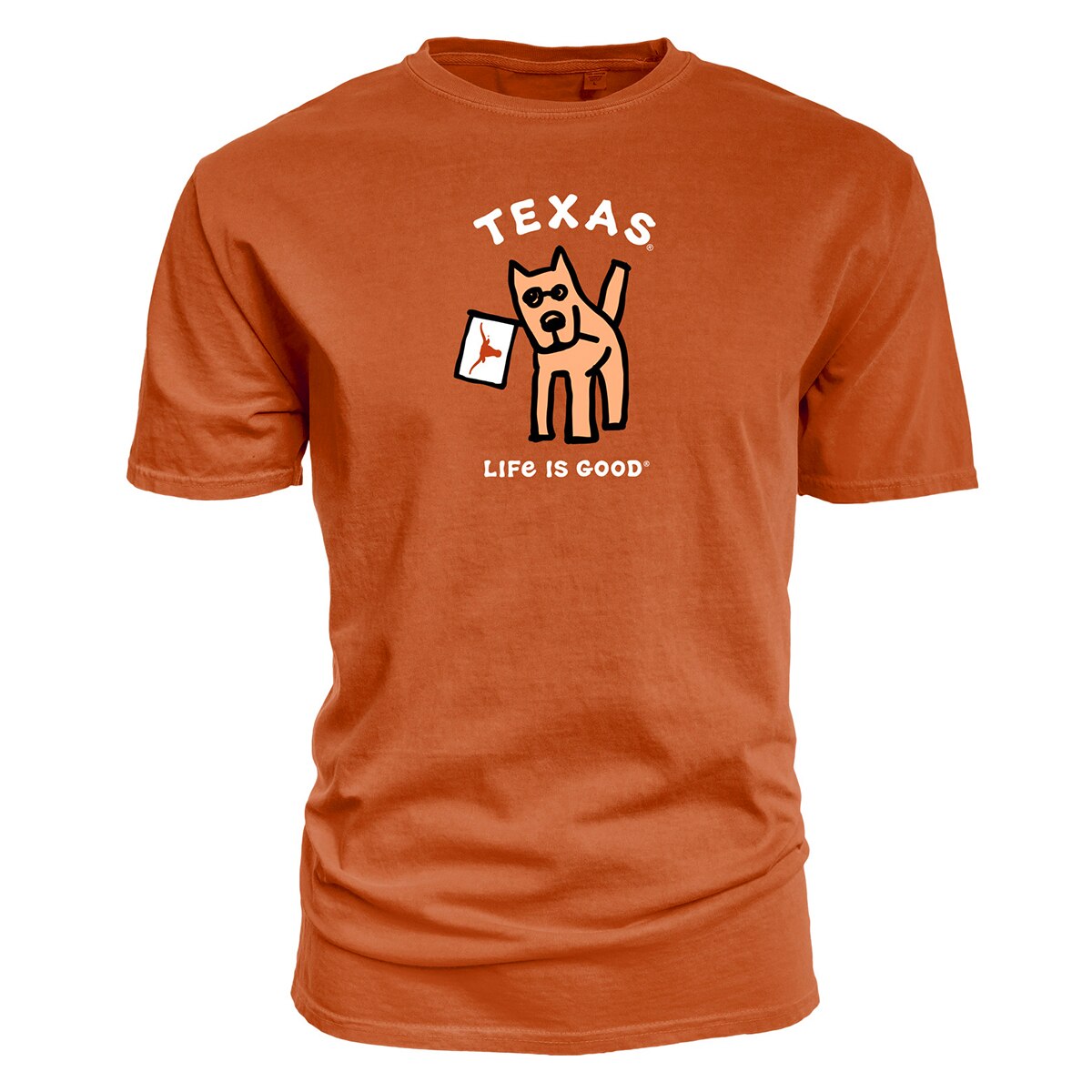 Life is Good Texas Longhorns Jake Flag Dog 2