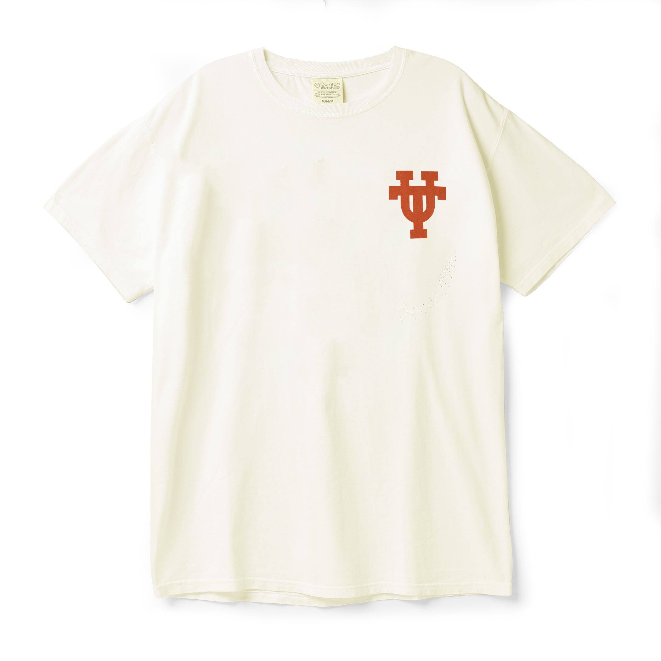 Texas Longhorns Silhouette in Lake Front and Back ComfortWash Tee