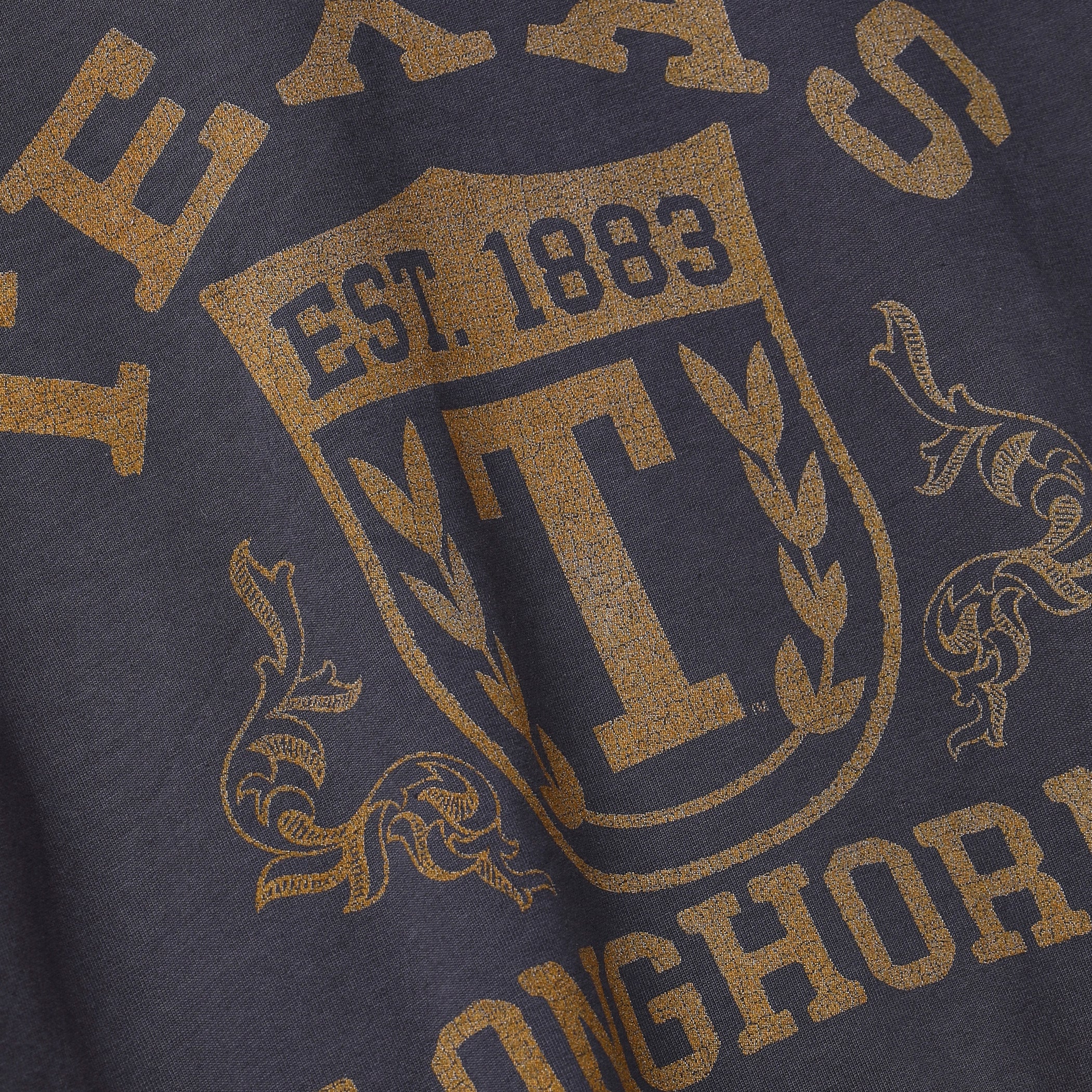 Texas Longhorns Vault Shield with T Heavyweight Tee 
