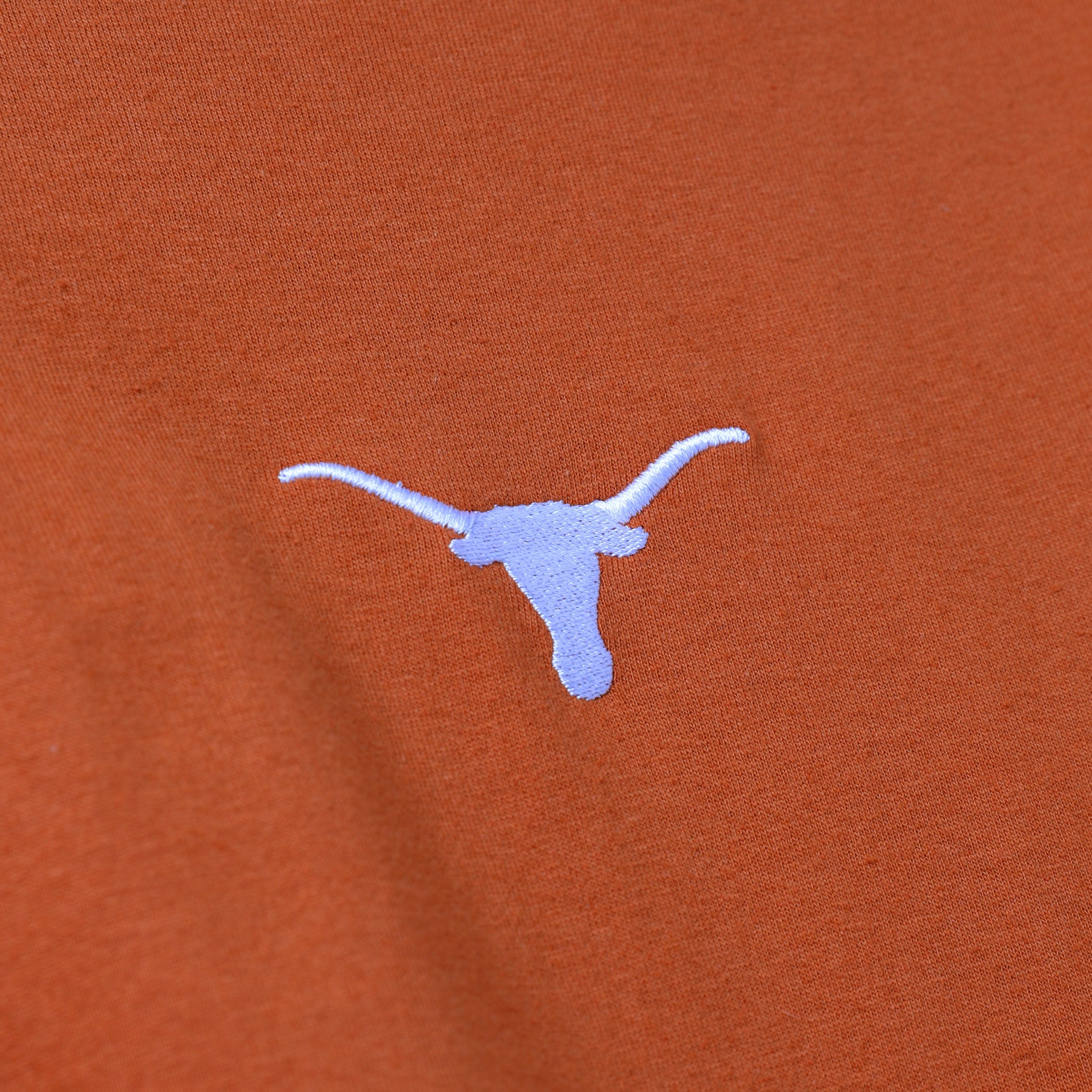 Champion Texas Longhorns Micro Center Bevo Tee | University Co-op