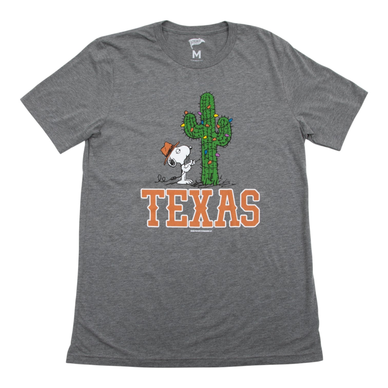 Snoopy Brother Cactus Holiday Tee