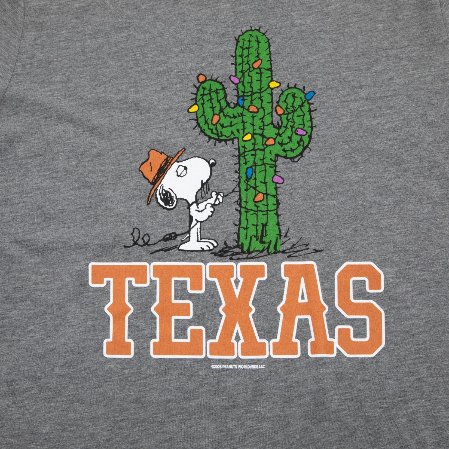 Snoopy Brother Cactus Holiday Tee