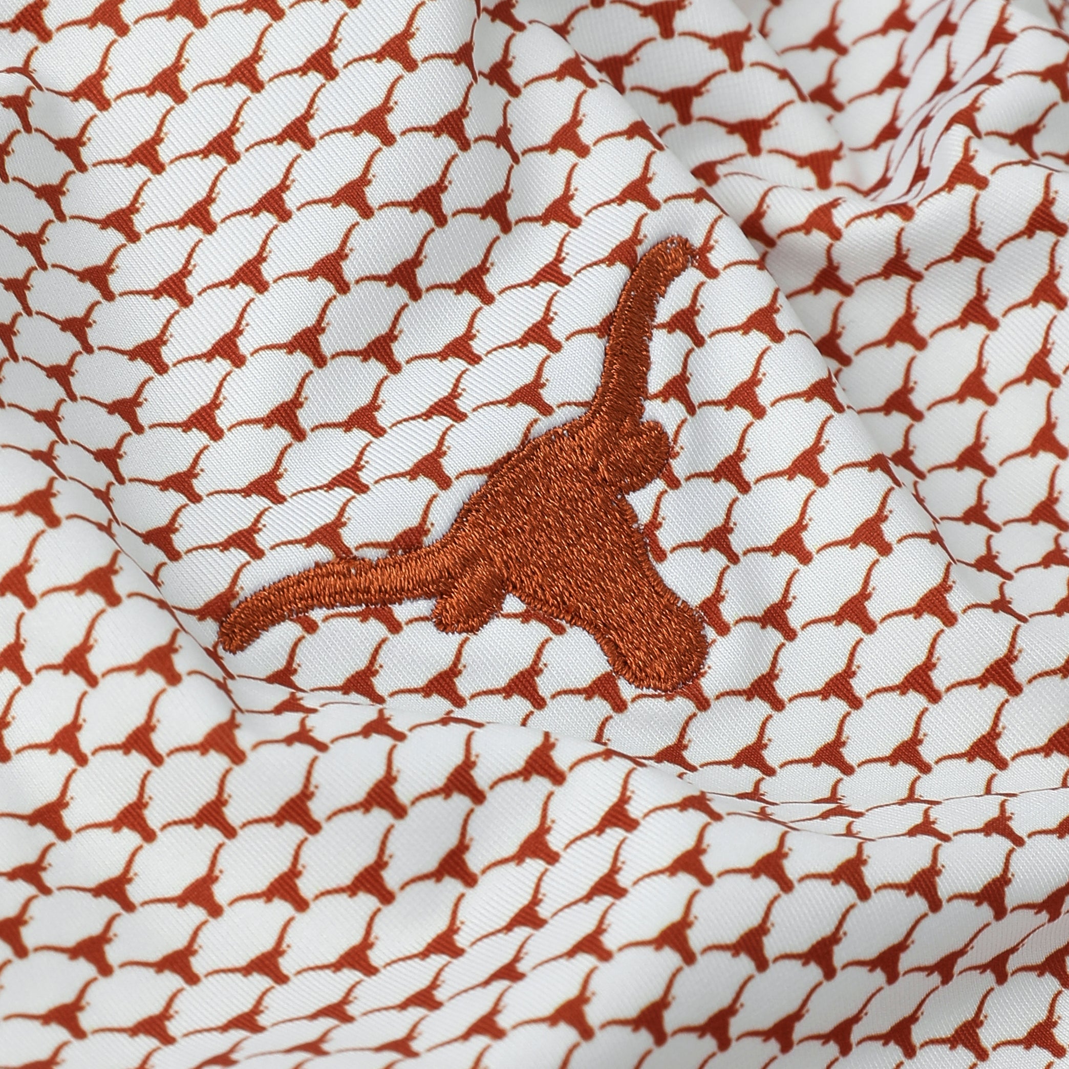 Forty Acres Texas Longhorns AOP Ecotec Polo