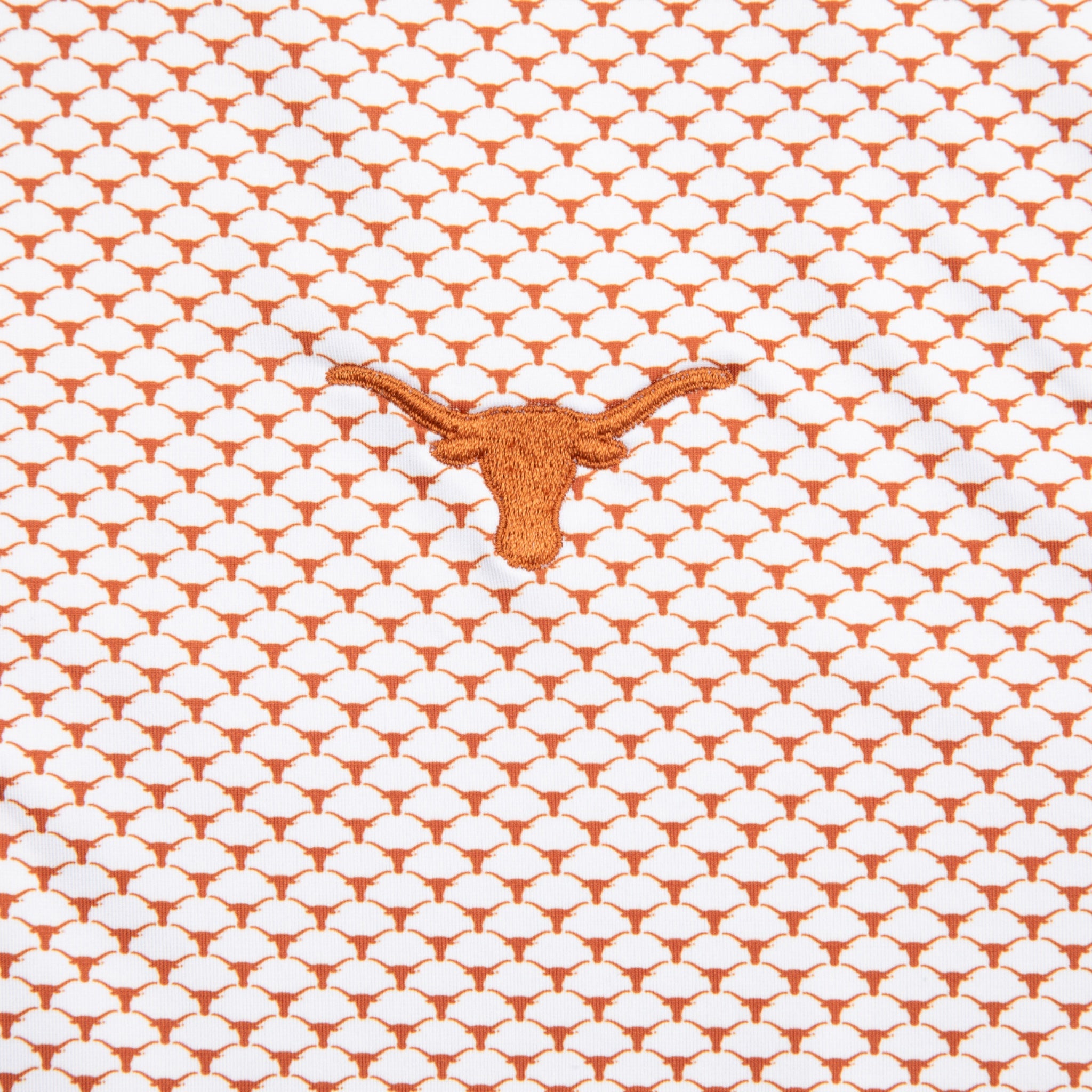 Forty Acres Texas Longhorns AOP Ecotec Polo