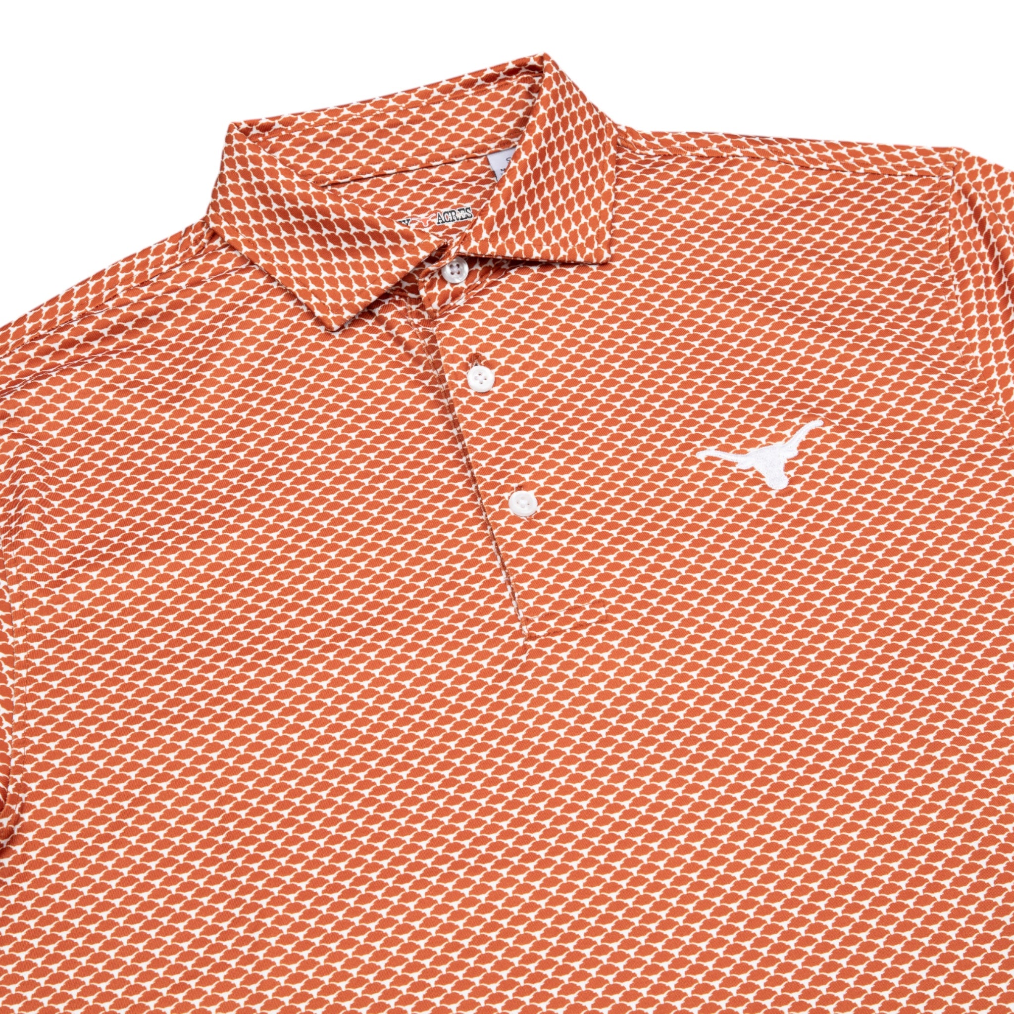 Forty Acres Texas Longhorns AOP Ecotec Polo