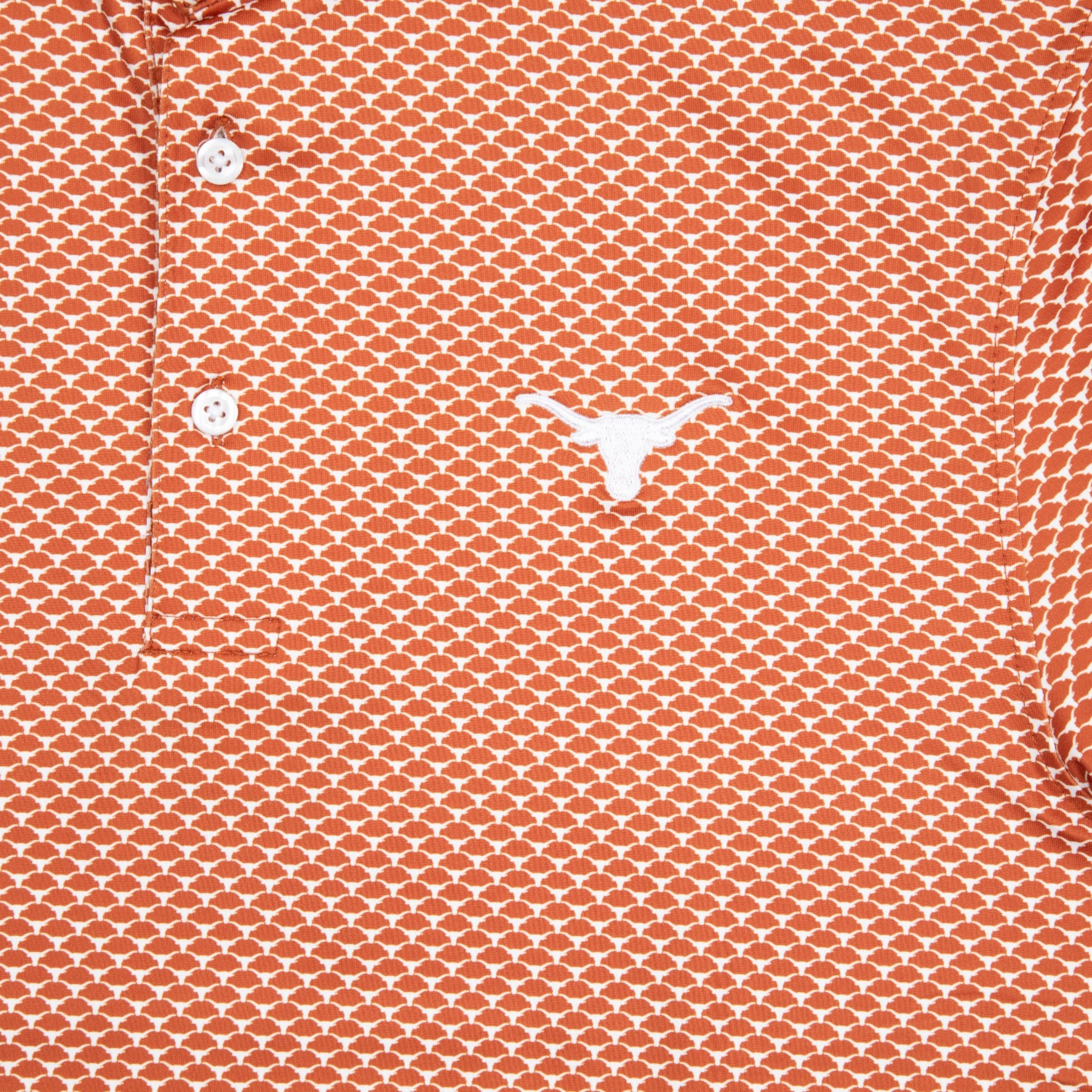 Forty Acres Texas Longhorns AOP Ecotec Polo
