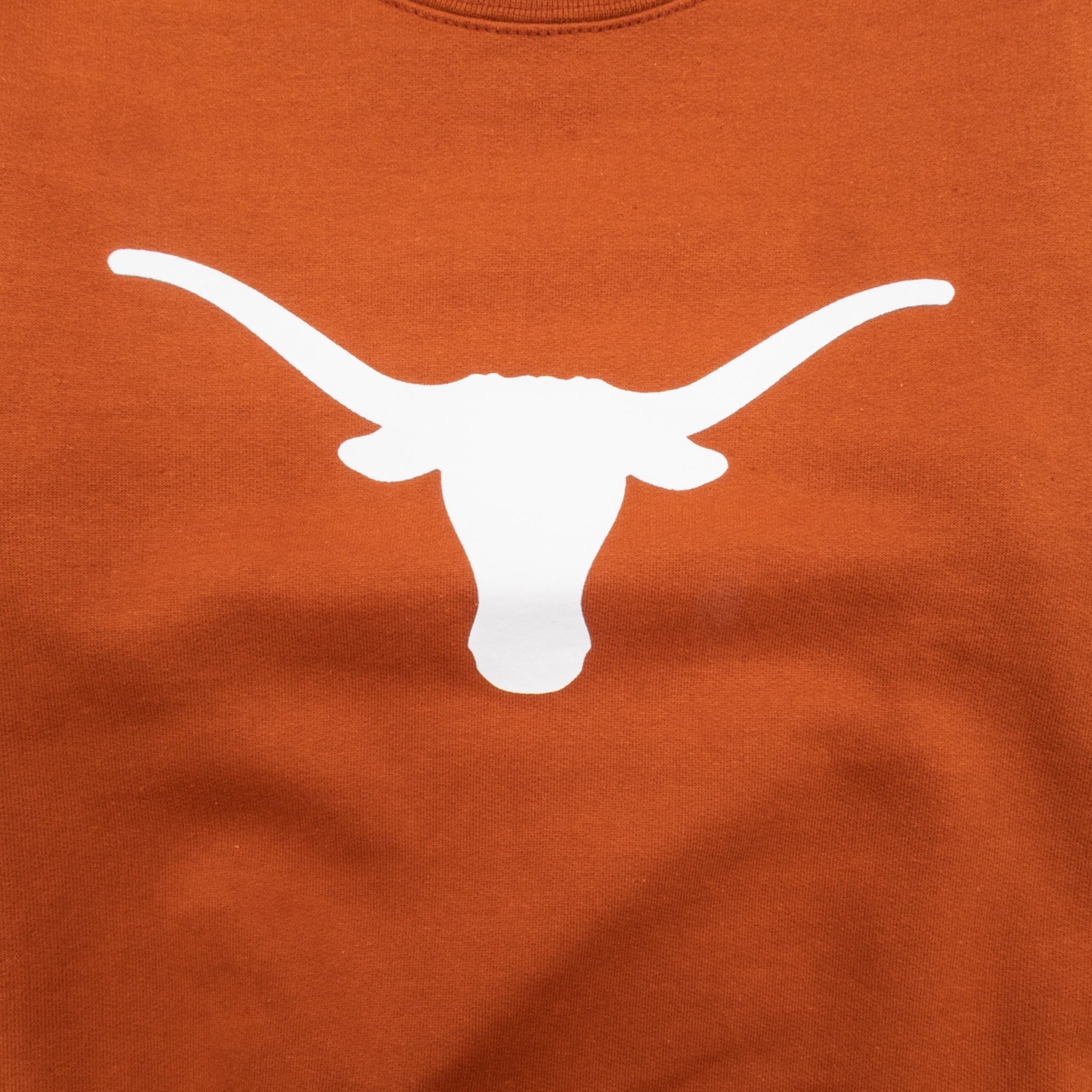 Youth Champion Texas Longhorns Sweatshirt Burnt Orange