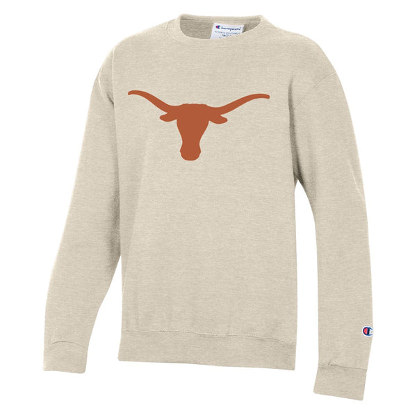 CHAMPION Texas Longhorns スウェットパーカー mens-champion-gray-texas-