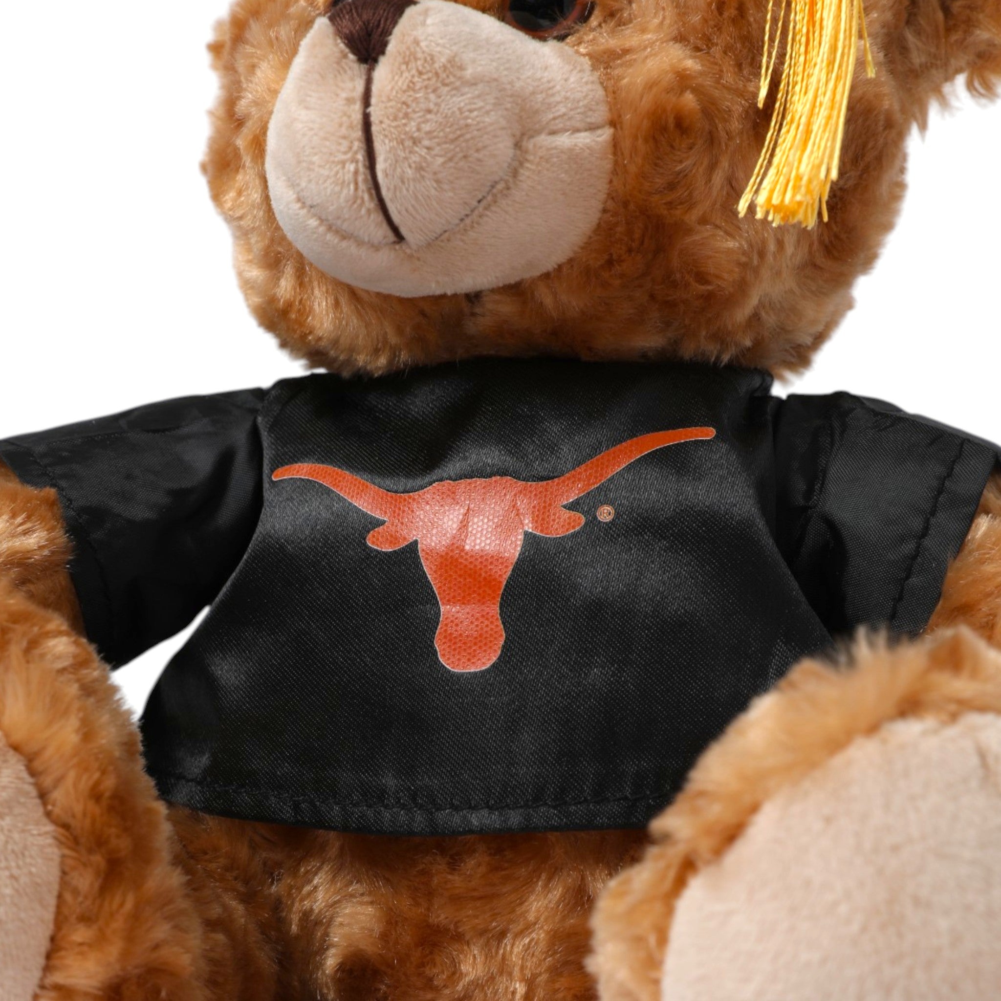 Texas Longhorns Graduation Bear 11”