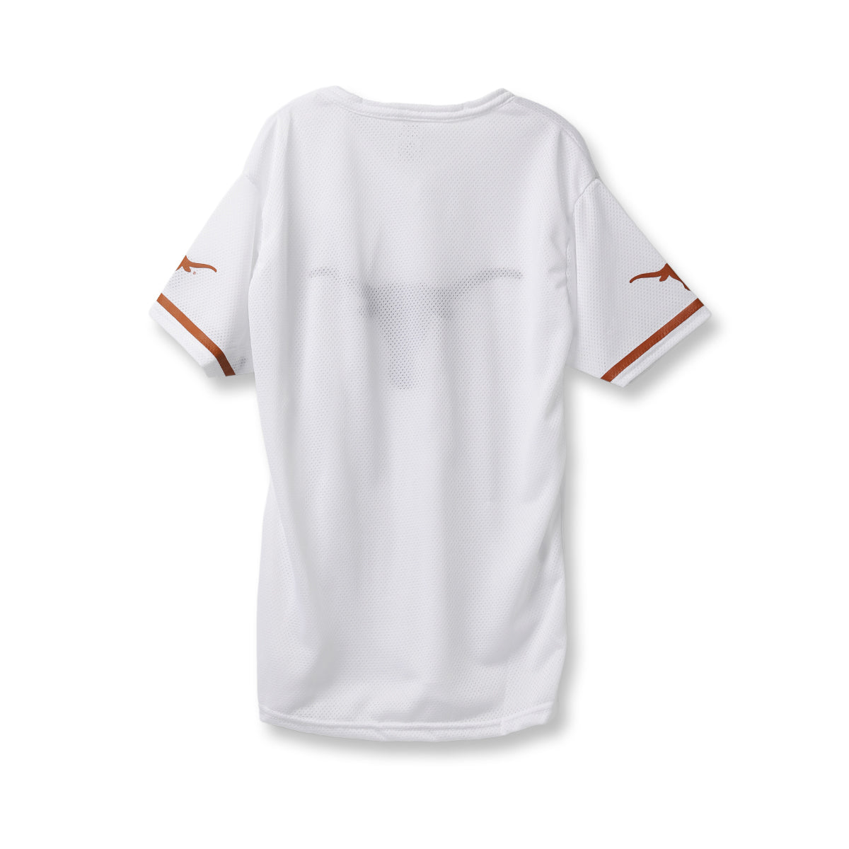 Texas Longhorns Youth Helmet/Jersey Set