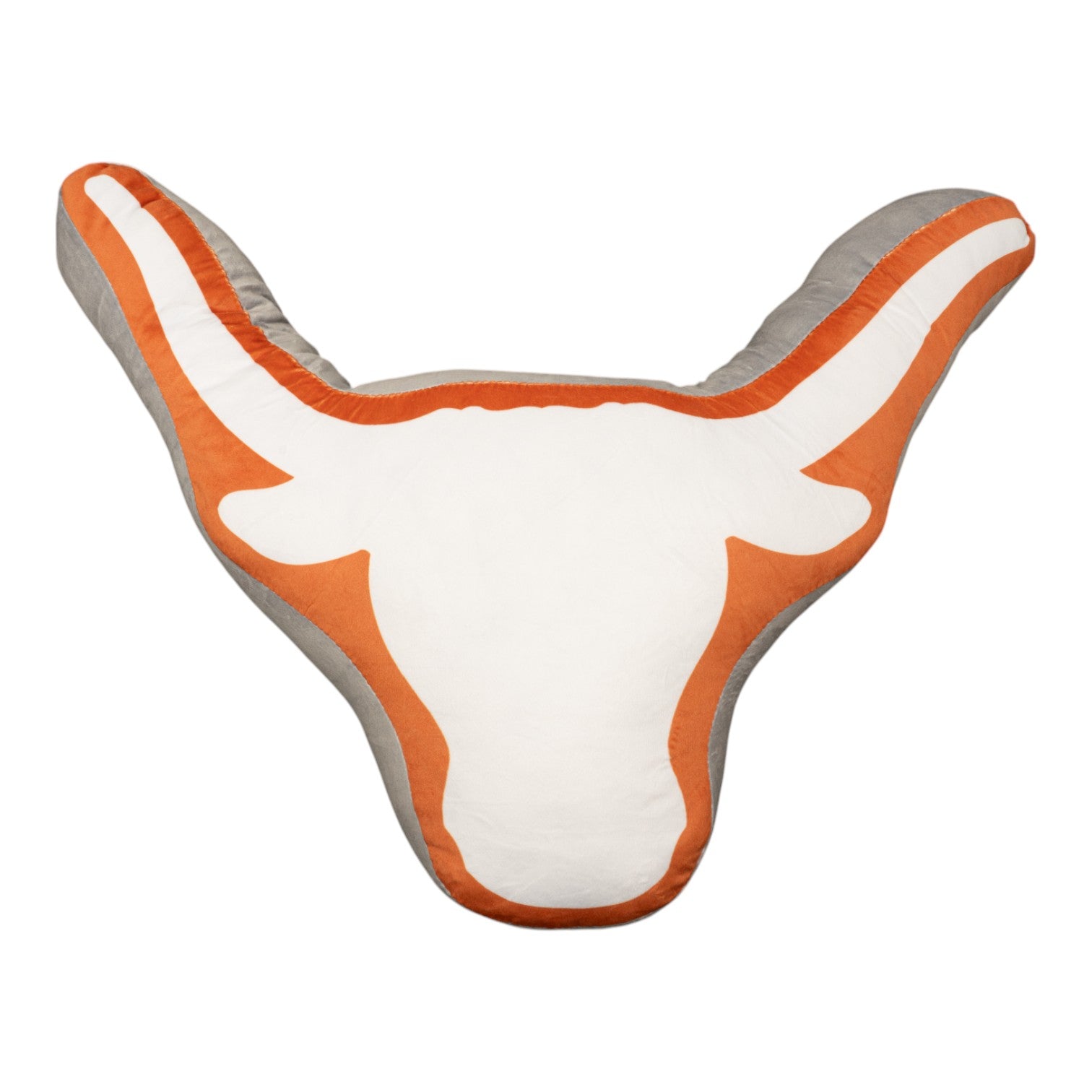 Texas Longhorns Pillow