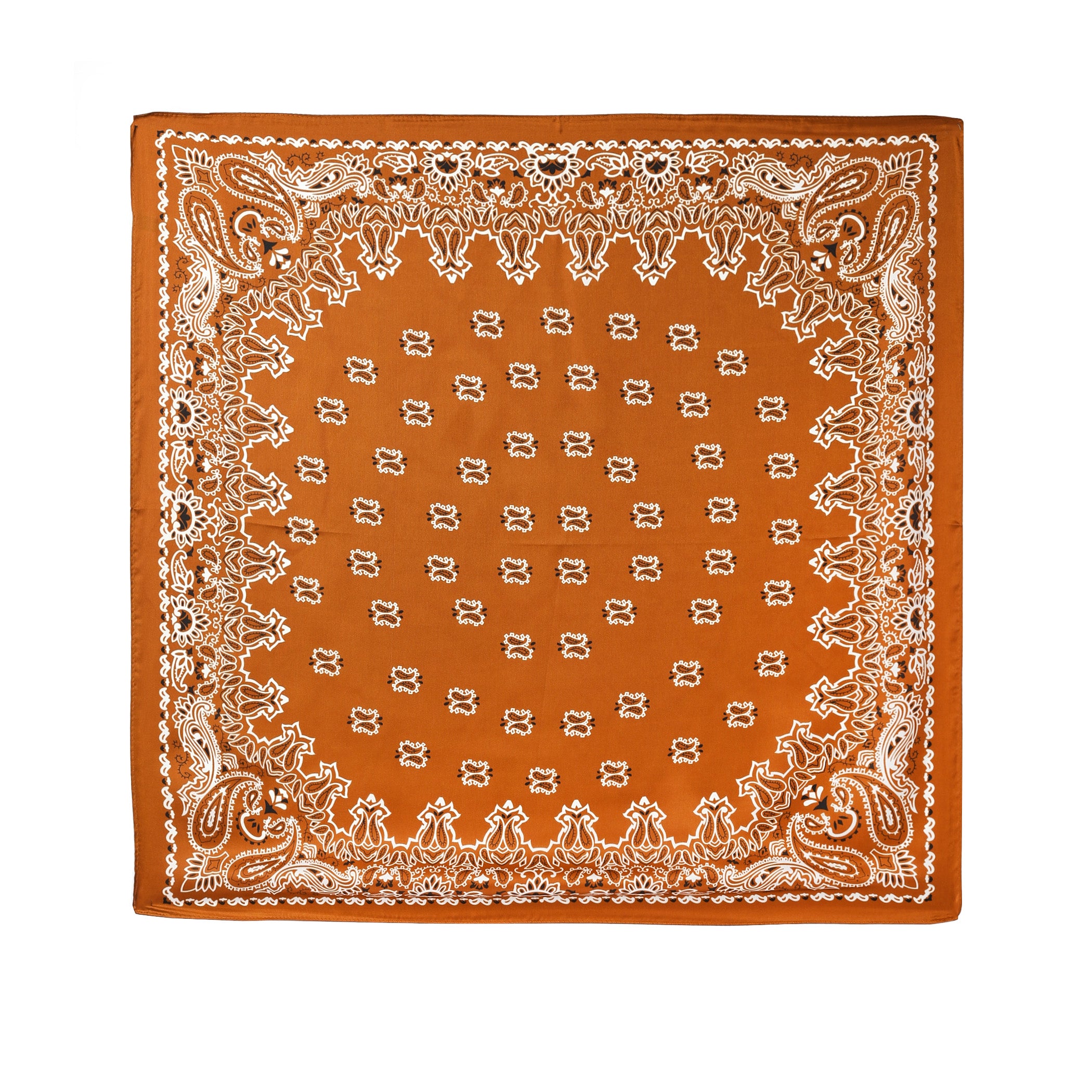 Burnt Orange Paisley Handkerchief