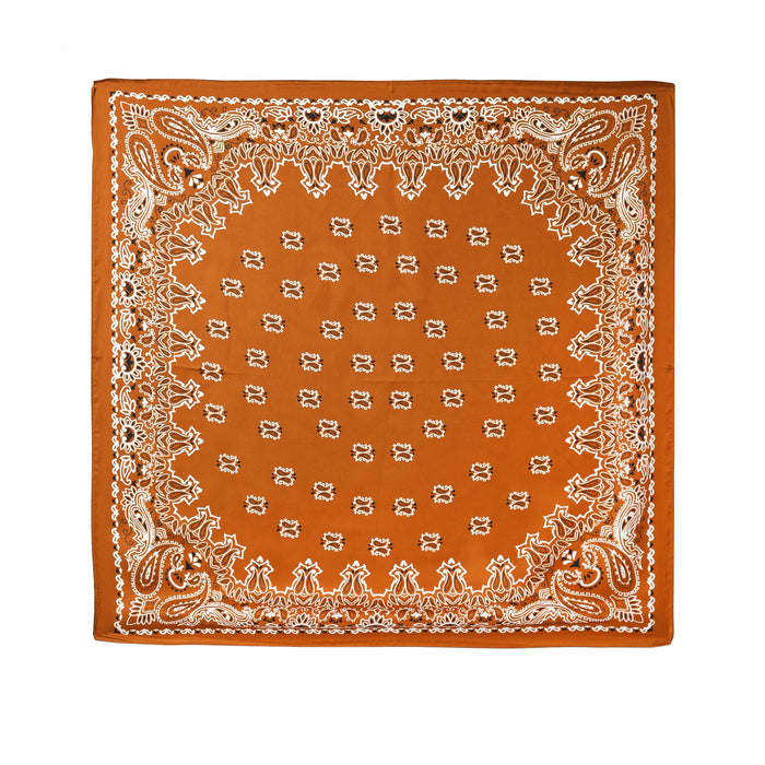 Burnt Orange Paisley Handkerchief