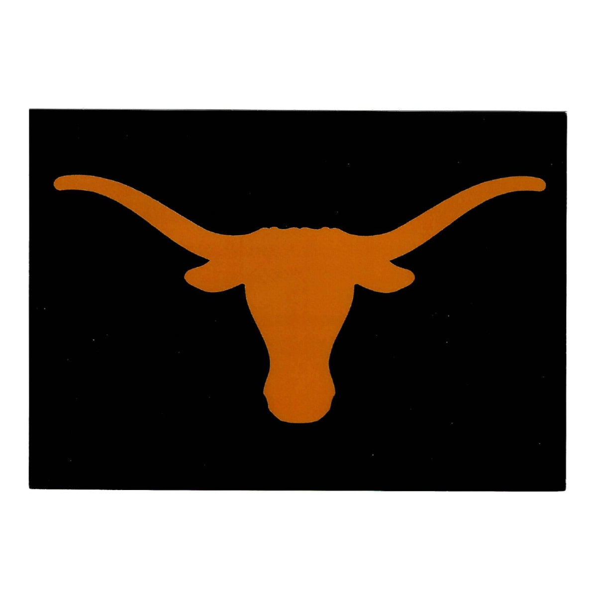 University of Texas Longhorn Postcard