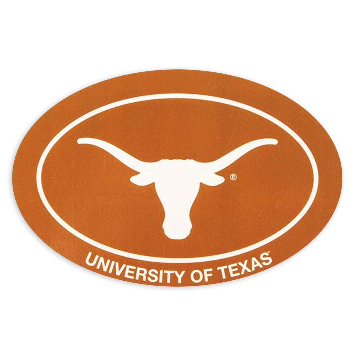 University of Texas Oval Longhorn Magnet