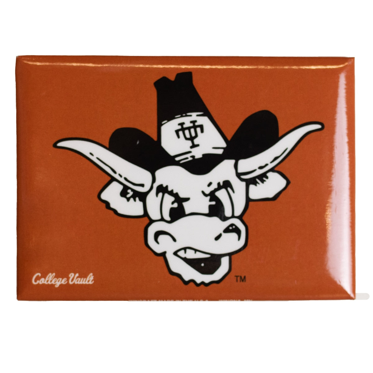 Texas Longhorns Vault UT Bevo Magnet