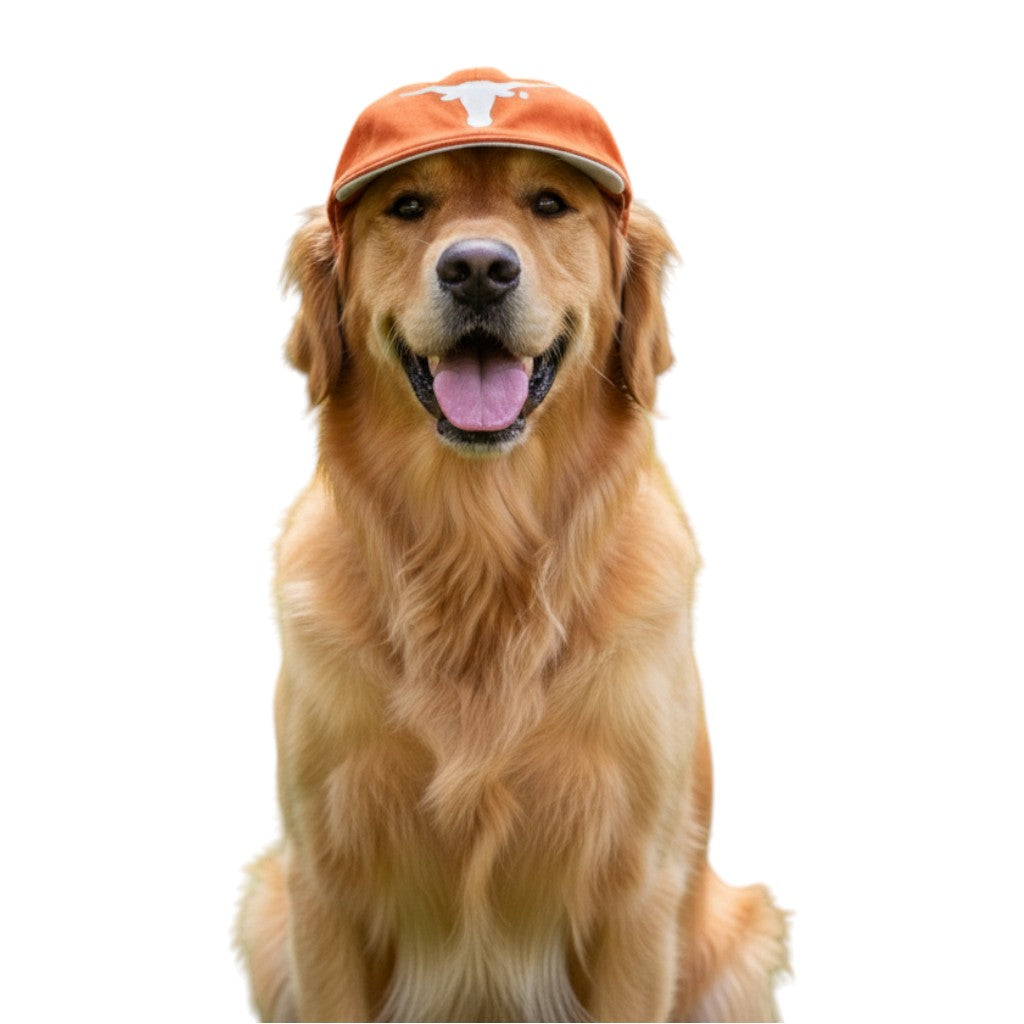 Texas Longhorns Pet Hat