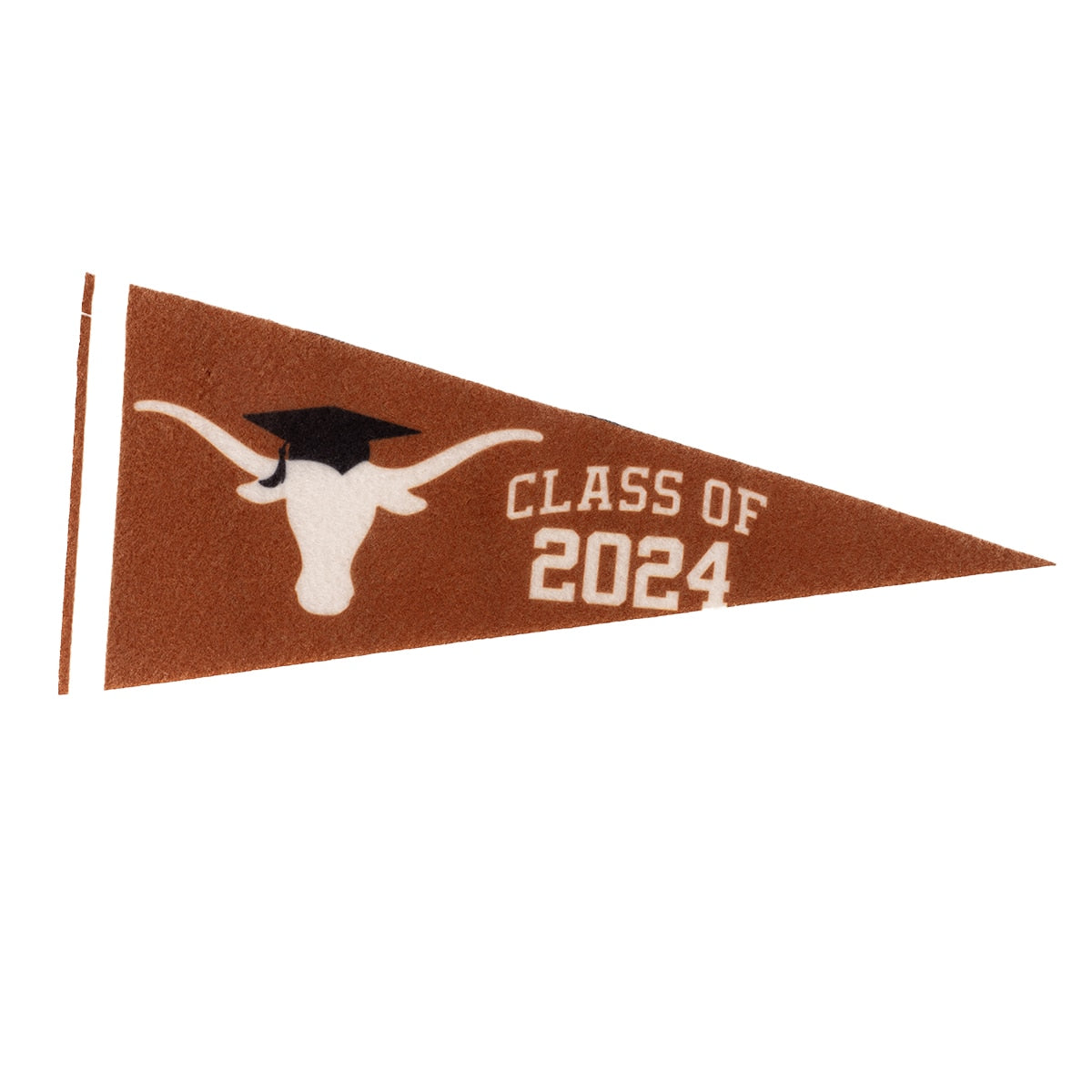 Texas Longhorns 2024 Mini Pennant - 4x9