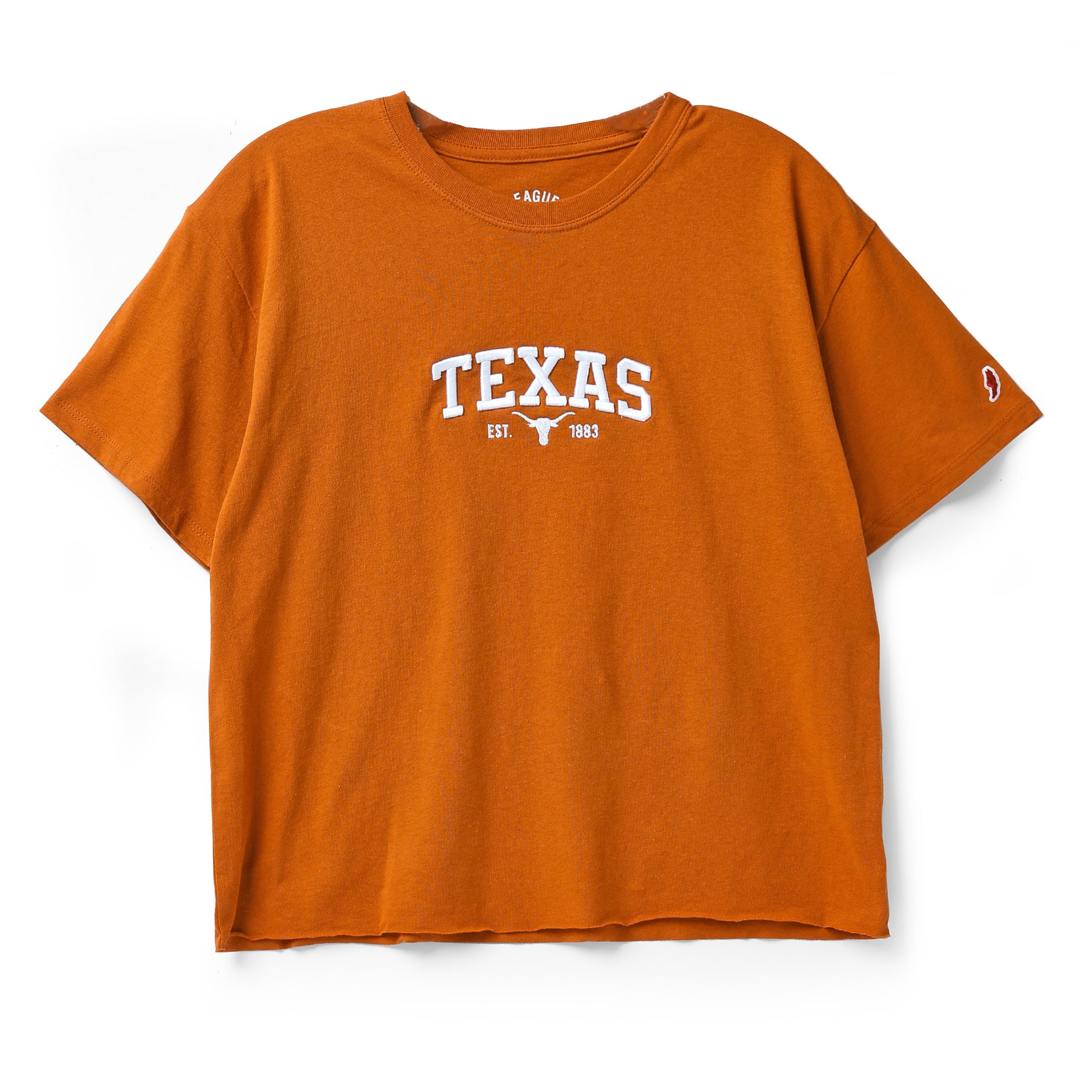 Texas Longhorns Puff Embroidery Graphic Crop Tee