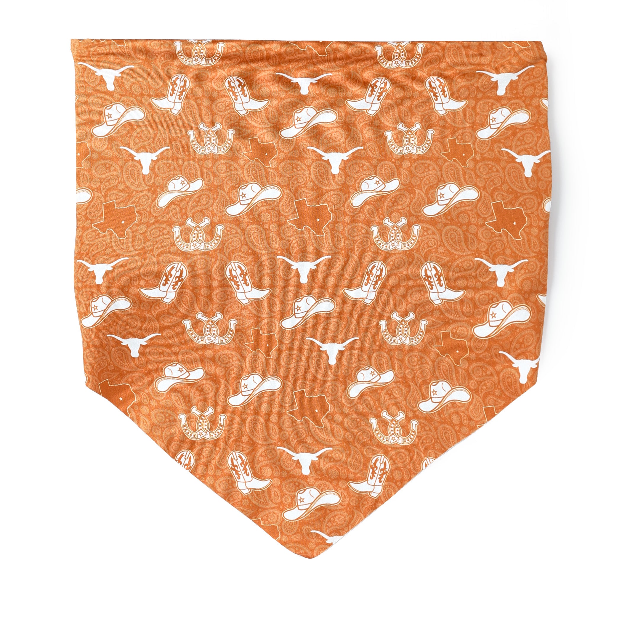 ZooZatZ Texas Longhorns Western Bandeau
