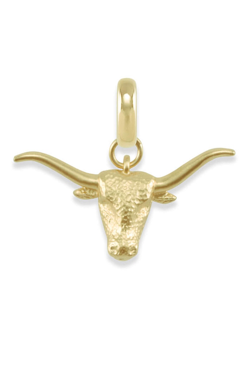 University of Texas Longhorn Gold Charm