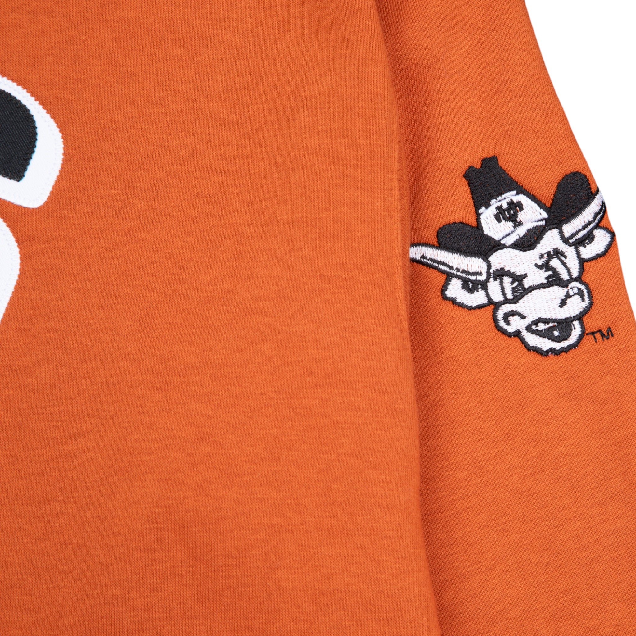 Nike Texas Longhorns Vault Legacy Phoenix Oversized Fleece Pullover Crew