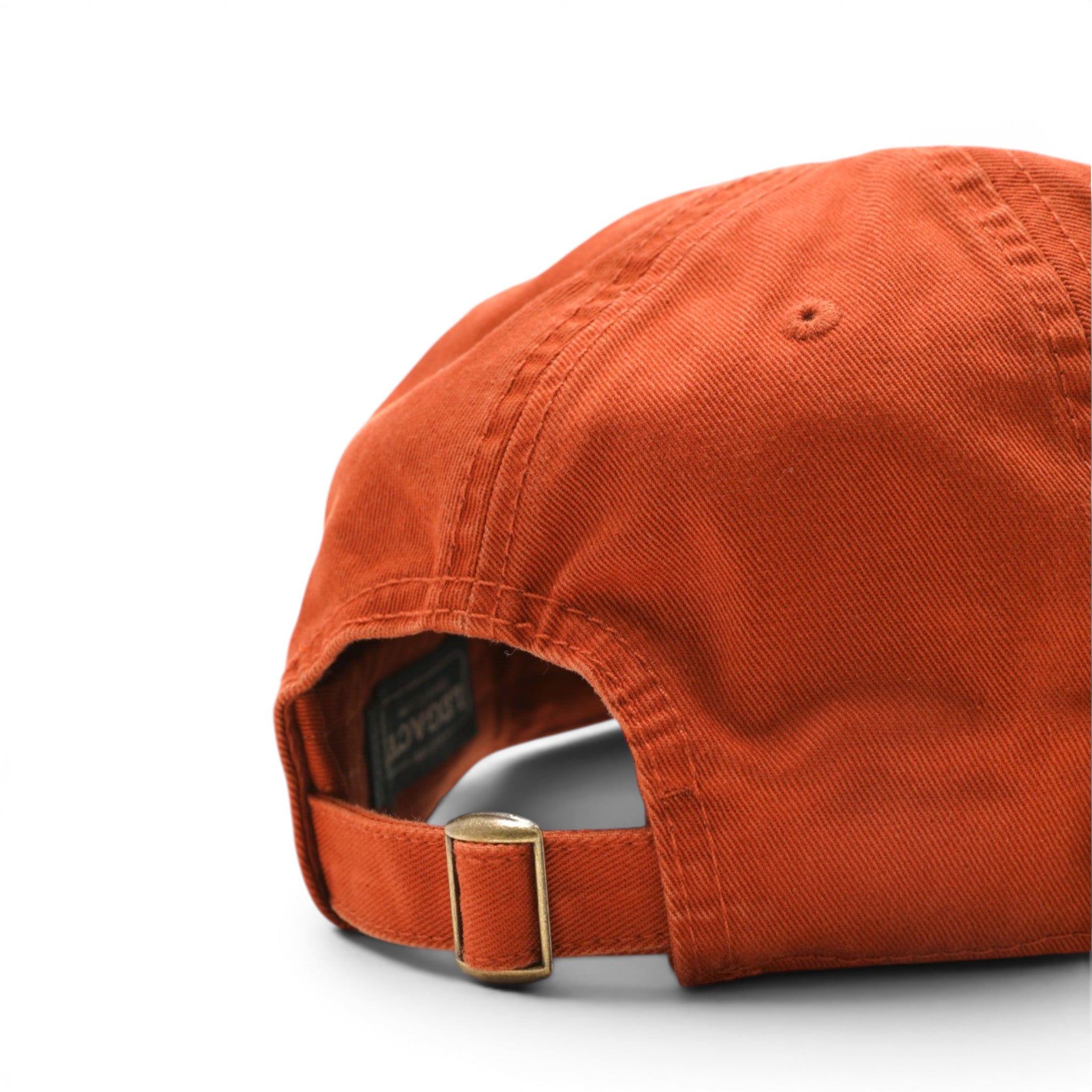 Texas Longhorns Script Hat