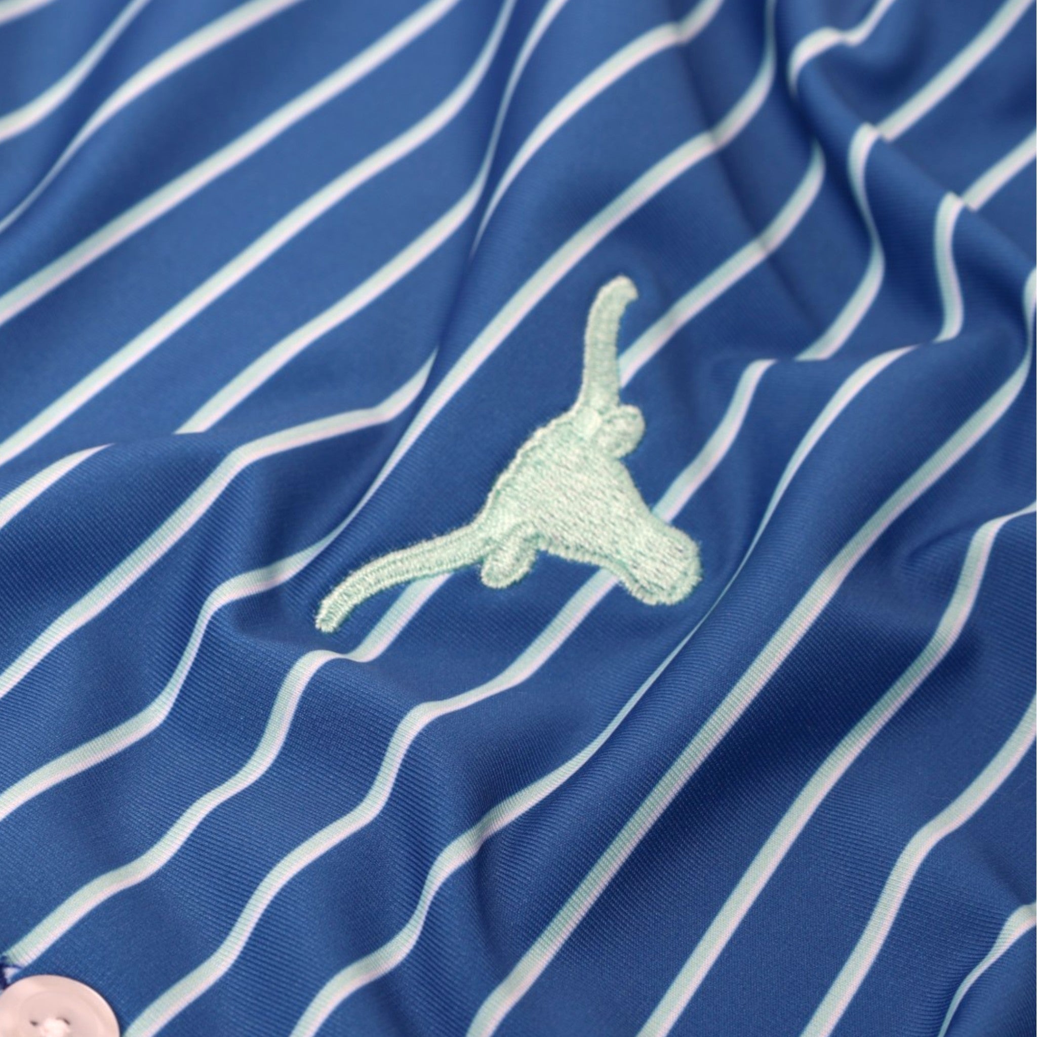 Forty Acres Texas Longhorns Ballard Stripe Polo