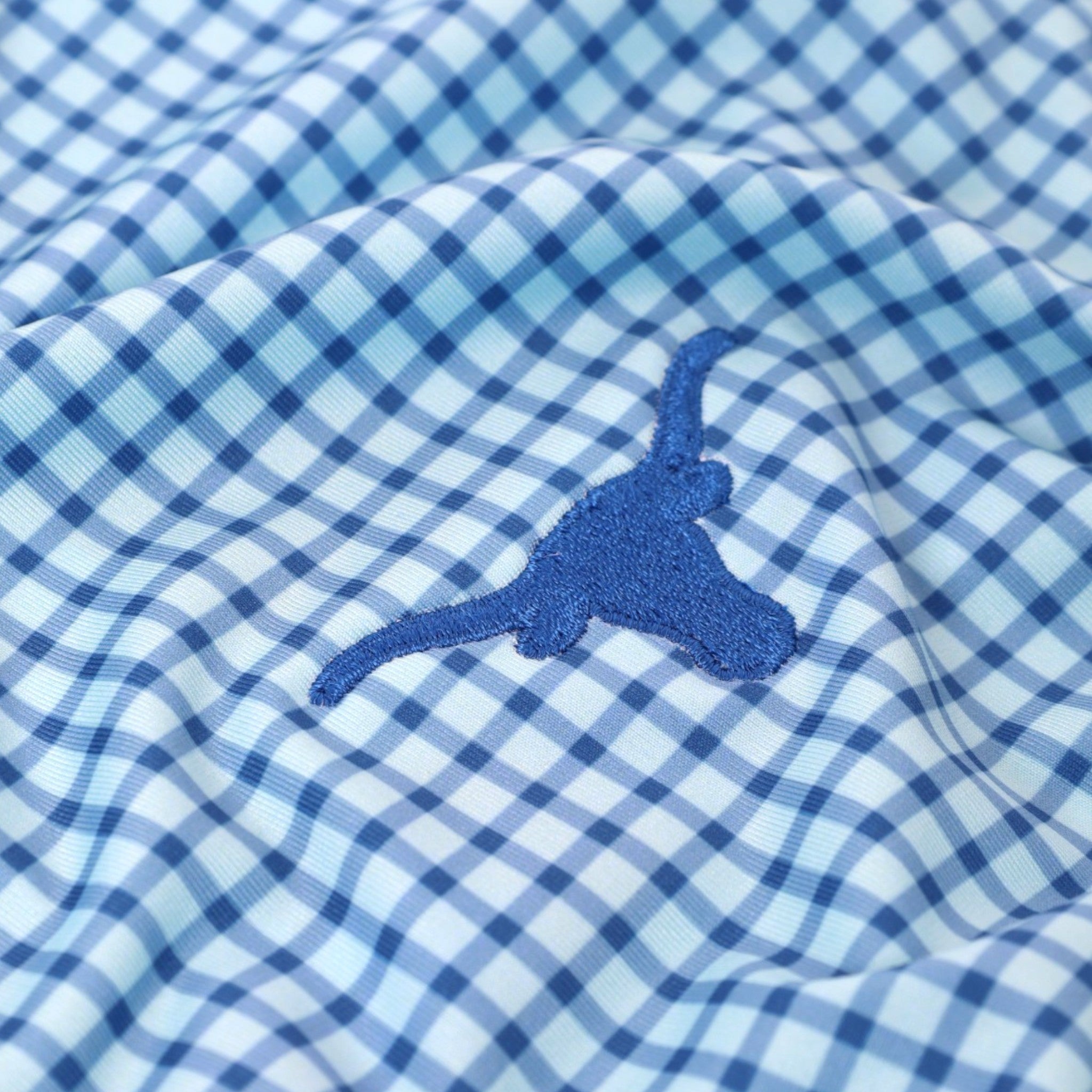 Forty Acres Texas Longhorns Richie Print Polo