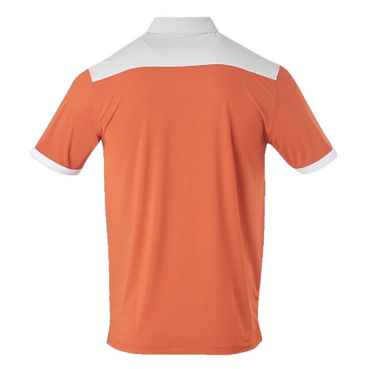 Forty Acres Texas Longhorns Stadium Colorblock Polo