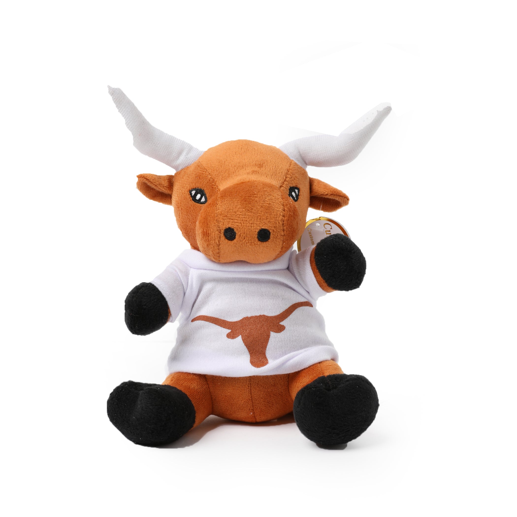 Texas Longhorns Move-In Day Kit