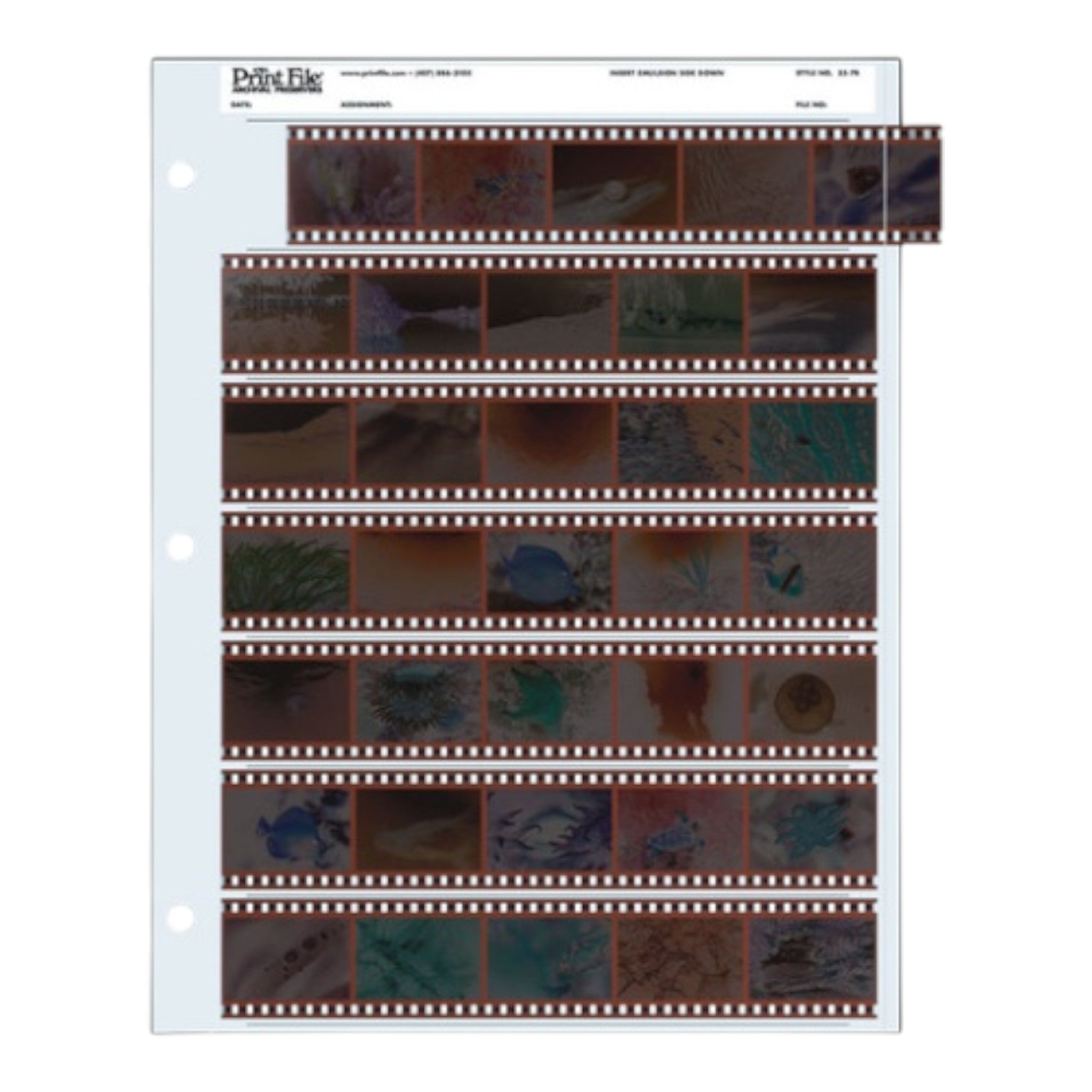 Negative Preservers 35mm - 25pk