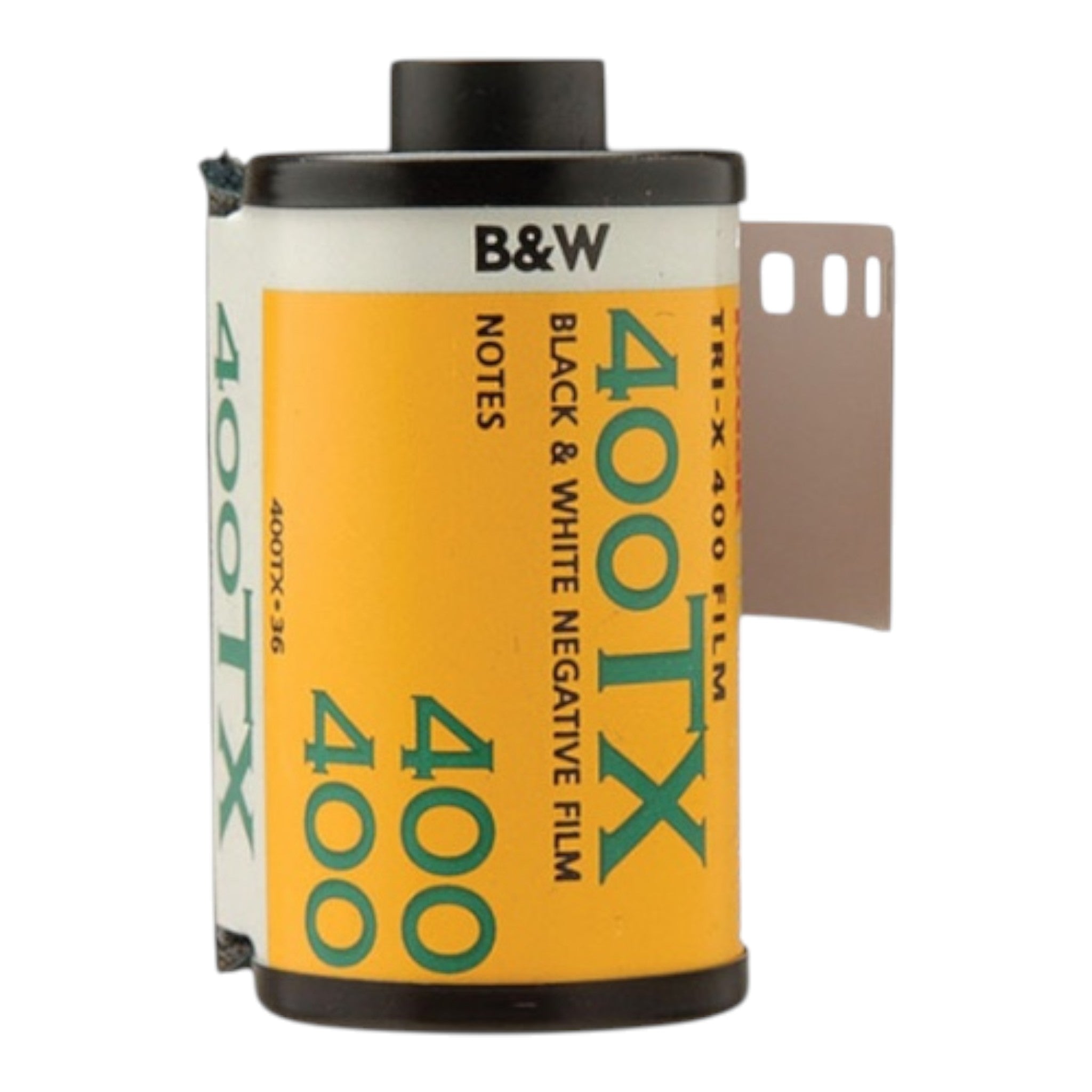 Kodak Professional Tri-X 400 Black and White Negative Film (35mm Roll Film, 36 Exposures)