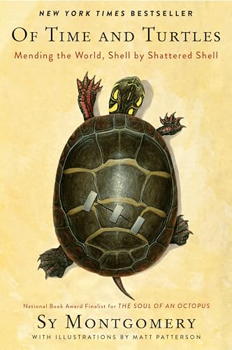 OF TIME AND TURTLES
