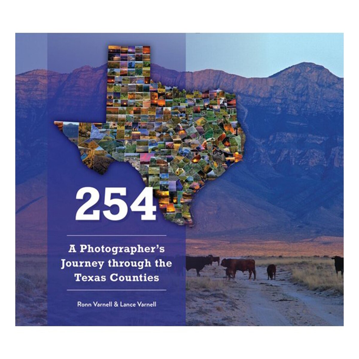 254: A Photographer's Journey through Every Texas County