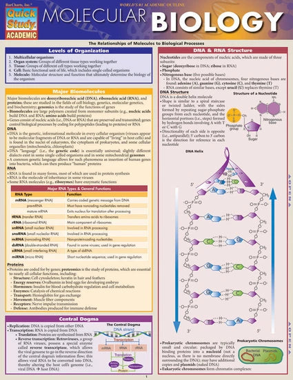 MOLECULAR BIOLOGY