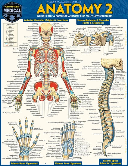 ANATOMY 2