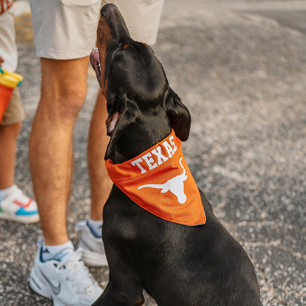 Texas Longhorns Pet Collar Reversible Bandana
