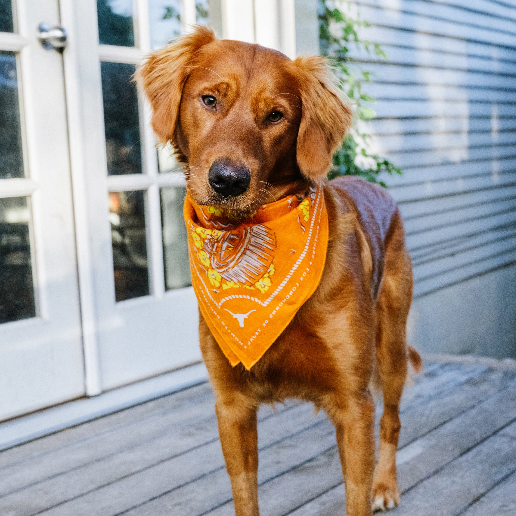 Howler Bros Los Longhorns De Tejas Bandana