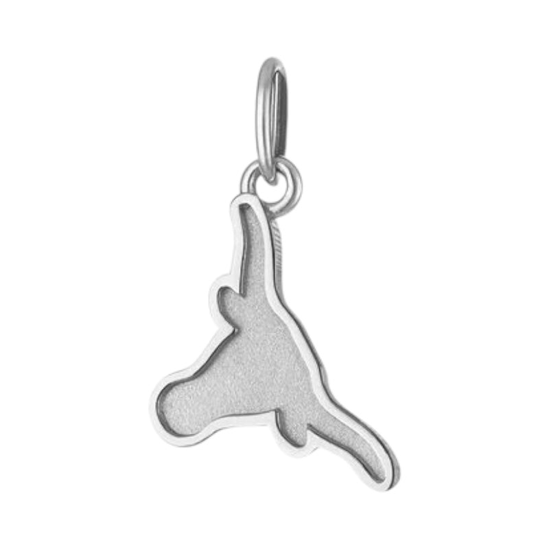 UT Longhorn Charm