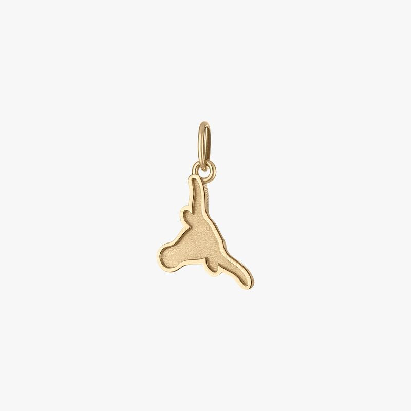 UT Longhorn Charm
