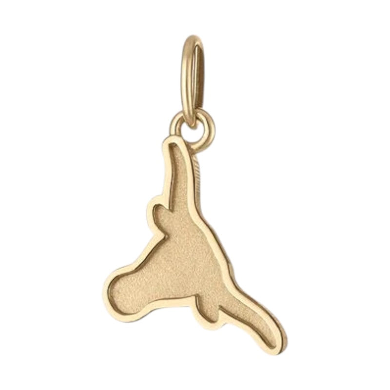 UT Longhorn Charm